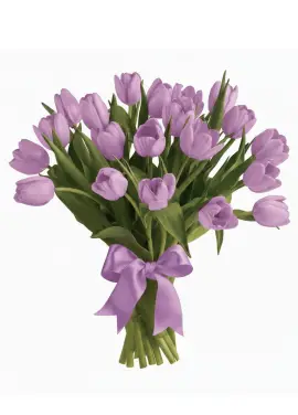 Bouquet of 25 lilac tulips (imported, Netherlands)