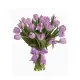 Bouquet of 25 lilac tulips (imported, Netherlands)