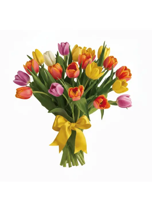 Bouquet of 25 mixed tulips (imported, Netherlands)