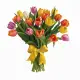 Bouquet of 25 mixed tulips (imported, Netherlands)