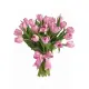 Bouquet of 25 pink tulips (imported, Netherlands)