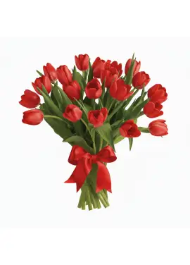 Bouquet of 25 red tulips (imported, Netherlands)