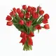 Bouquet of 25 red tulips (imported, Netherlands)