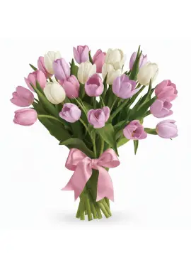 Bouquet of 25 tender tulips (imported, Netherlands)