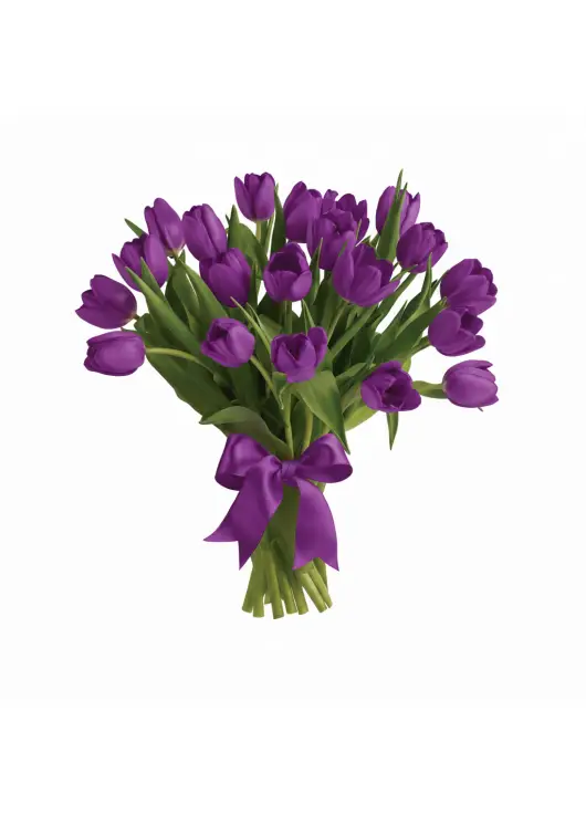 Bouquet of 25 violet tulips (imported, Netherlands)