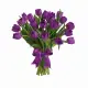 Bouquet of 25 violet tulips (imported, Netherlands)