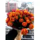 Bouquet of 25 orange tulips (imported, Netherlands)