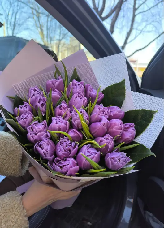 Bouquet of 25 peony tulips (imported, Netherlands)