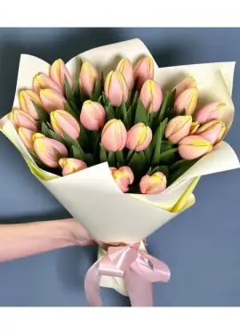 Bouquet of 25 pink tulips (imported, Netherlands)