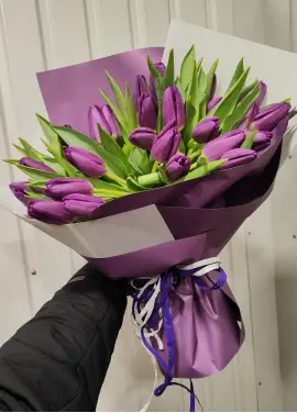 Bouquet of 25 violet tulips (imported, Netherlands)