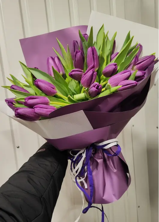 Bouquet of 25 violet tulips (imported, Netherlands)