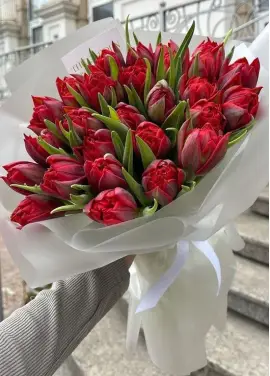 Bouquet of 25 red tulips (imported, Netherlands)