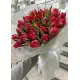 Bouquet of 25 red tulips (imported, Netherlands)