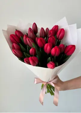 Bouquet of 25 raspberry tulips (imported, Netherlands)