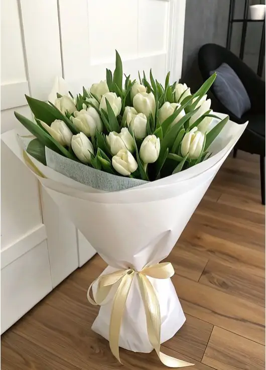 Bouquet of 25 white tulips (imported, Netherlands)