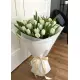 Bouquet of 25 white tulips (imported, Netherlands)