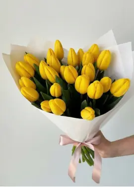 Bouquet of 25 yellow tulips (imported, Netherlands)