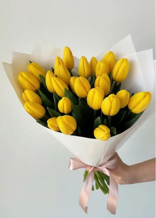 Bouquet of 25 yellow tulips (imported, Netherlands)