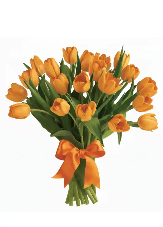 Bouquet of 25 orange tulips (imported, Netherlands)