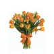 Bouquet of 25 orange tulips (imported, Netherlands)