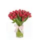 Bouquet of 35 raspberry tulips (imported, Netherlands)