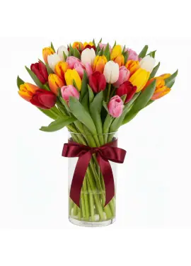 Bouquet of 35 mixed tulips (imported, Netherlands)