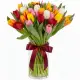 Bouquet of 35 mixed tulips (imported, Netherlands)