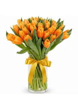 Bouquet of 35 orange tulips (imported, Netherlands)