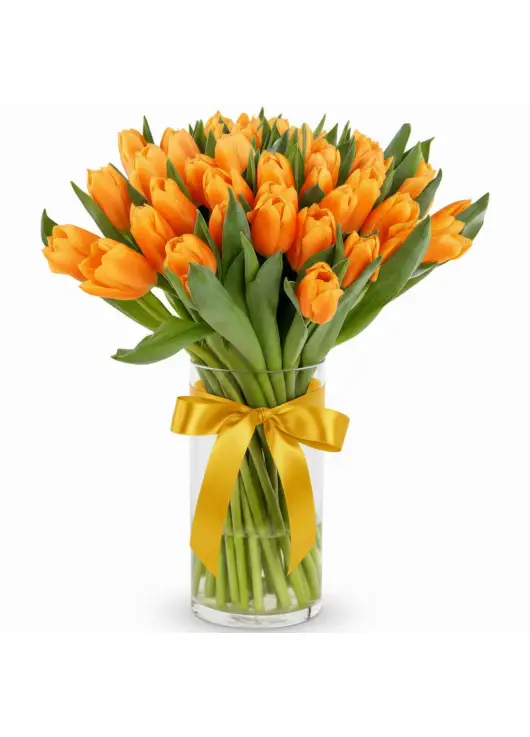 Bouquet of 35 orange tulips (imported, Netherlands)