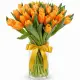 Bouquet of 35 orange tulips (imported, Netherlands)