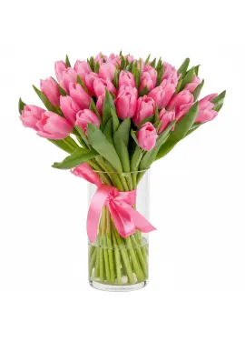 Bouquet of 35 pink tulips (imported, Netherlands)
