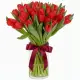 Bouquet of 35 red tulips (imported, Netherlands)