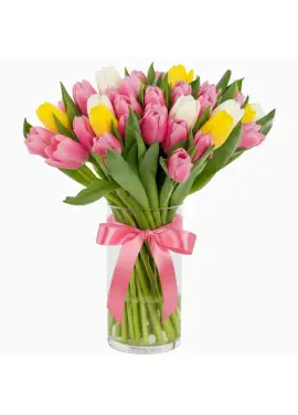 Bouquet of 35 tender tulips (imported, Netherlands)