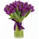 Bouquet of 35 violet tulips (imported, Netherlands)