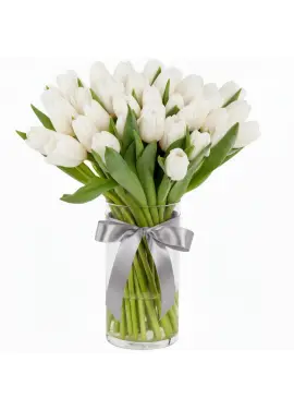 Bouquet of 35 white tulips (imported, Netherlands)
