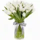 Bouquet of 35 white tulips (imported, Netherlands)