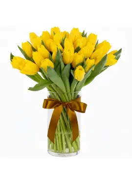 Bouquet of 35 yellow tulips (imported, Netherlands)