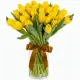 Bouquet of 35 yellow tulips (imported, Netherlands)