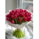 Bouquet of 35 raspberry tulips (imported, Netherlands)