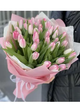 Bouquet of 35 pink tulips (imported, Netherlands)