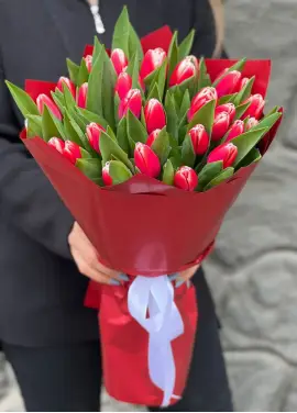 Bouquet of 35 red tulips (imported, Netherlands)