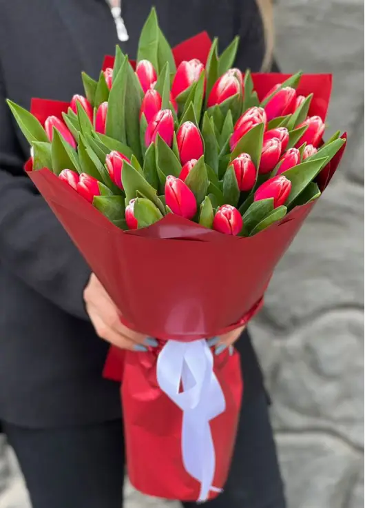 Bouquet of 35 red tulips (imported, Netherlands)
