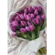 Bouquet of 35 violet tulips (imported, Netherlands)