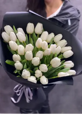 Bouquet of 35 white tulips (imported, Netherlands)