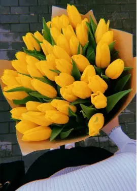 Bouquet of 35 yellow tulips (imported, Netherlands)