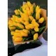 Bouquet of 35 yellow tulips (imported, Netherlands)