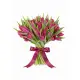Bouquet of 45 raspberry tulips (imported, Netherlands)