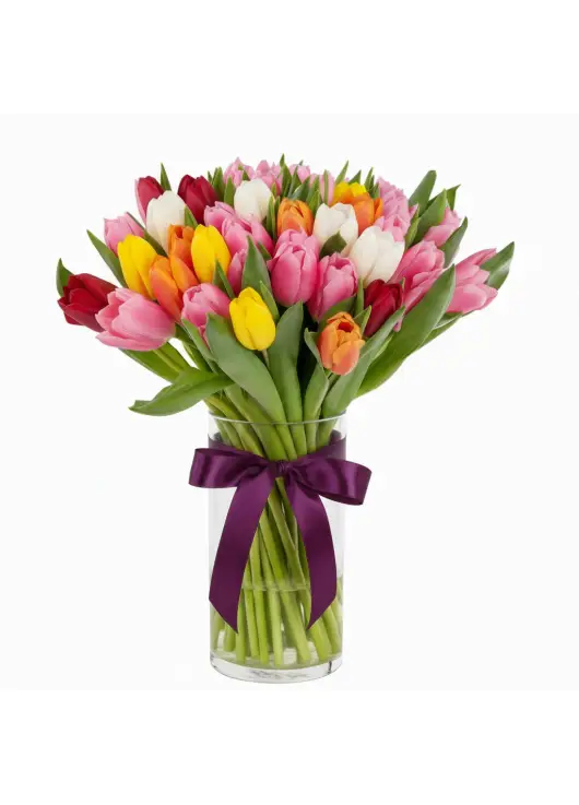 Bouquet of 45 mixed tulips (imported, Netherlands)