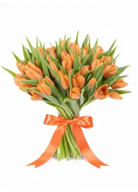 Bouquet of 45 orange tulips (imported, Netherlands)