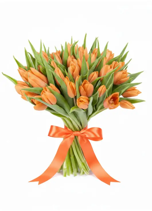 Bouquet of 45 orange tulips (imported, Netherlands)